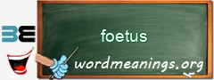 WordMeaning blackboard for foetus